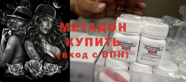 прущие грибы Абинск