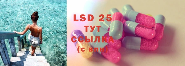 PSILOCYBIN Мегион