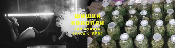 прущие грибы Абинск