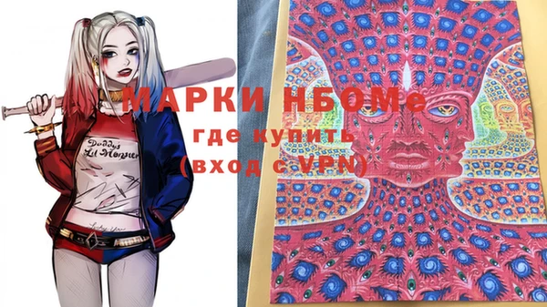 крисы Абаза