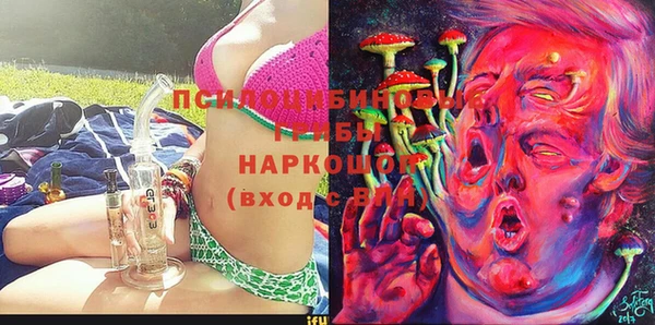 крисы Абаза