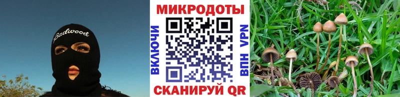 Псилоцибиновые грибы мухоморы  где найти наркотики  KRAKEN как войти  Соликамск 