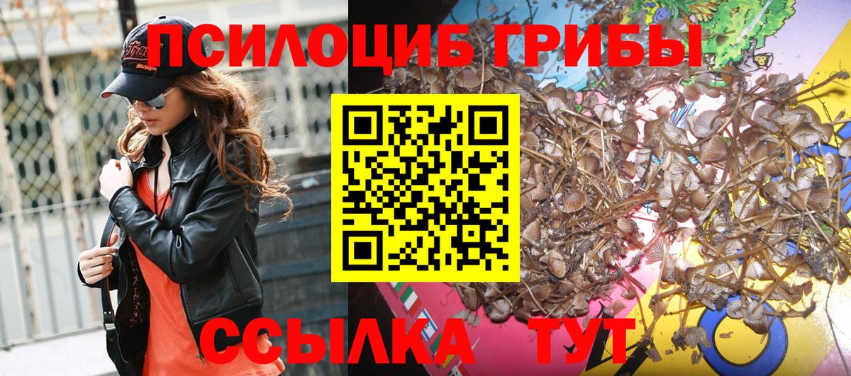 Псилоцибиновые грибы GOLDEN TEACHER Соликамск