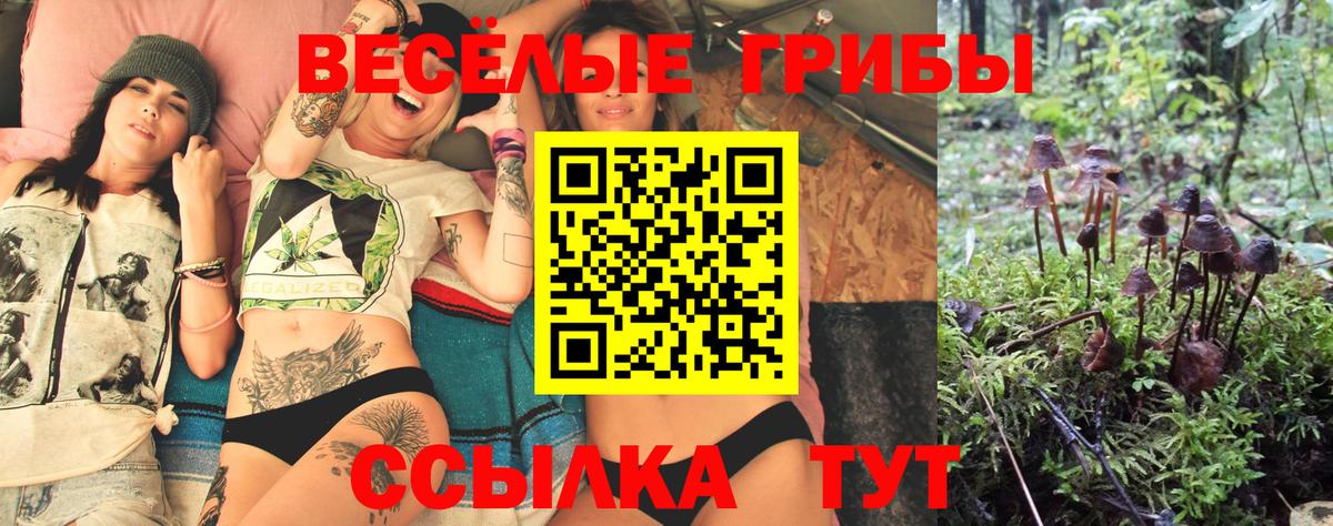 Соликамск  где купить наркотик  Вход с VPN  Псилоцибиновые грибы Psilocybine cubensis 
